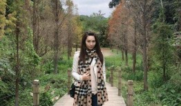 徐子珊背景,从影视新星到时尚偶像的跨界传奇