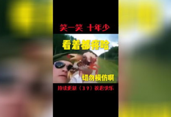 搞笑视频音乐,搞笑视频音乐大盘点