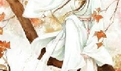 断袖的照片,光影中的同性恋情感画卷