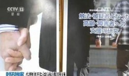 搞笑犯罪标题,一场啼笑皆非的破案之旅