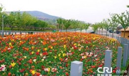 花都的照片,探寻花都之美