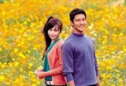 天国的嫁衣演员表,众星云集演绎浪漫爱情传奇