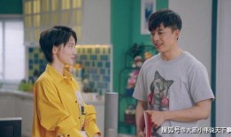 爱情公寓演员表资料