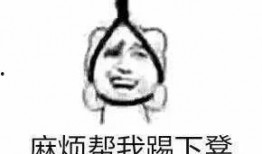 李斯特 表情包,趣味横生的网络文化现象