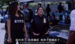 搞笑犯罪标题,一场啼笑皆非的破案之旅